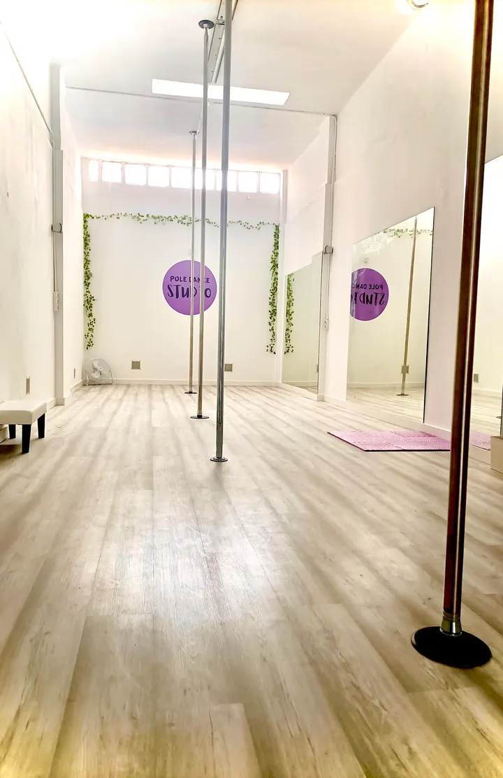 Pole Dance Studio - Zaragoza — baile-studio en Romareda, Zaragoza — 2
