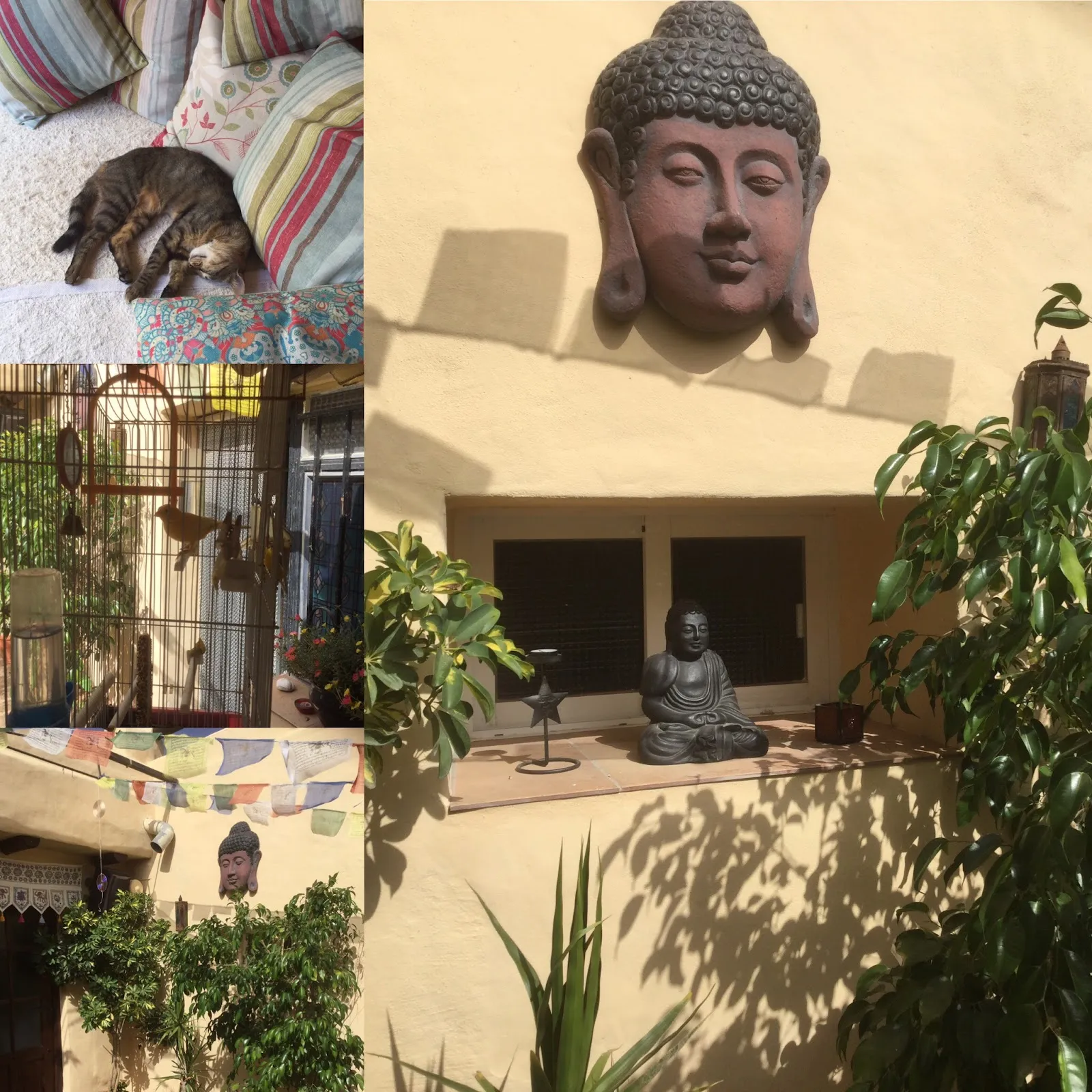 Sol Yoga Centre — yoga-studio en Arboleas — 5