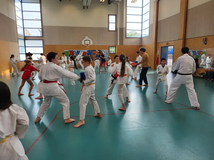 Vaillante Angers Karaté — Arts martiaux à Deux-Croix - Banchais, Angers