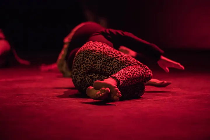 Sevilla Dance Center San Lorenzo — baile-studio en San Lorenzo, Sevilla — 2