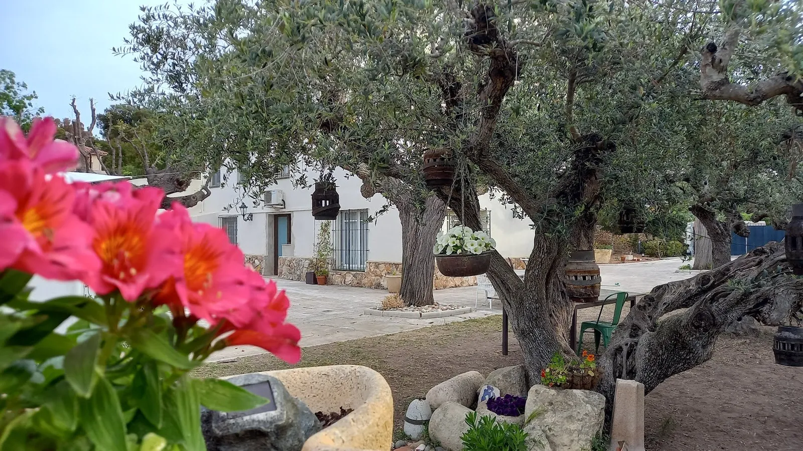 Atha Yoga — yoga-studio i Altafulla — bild 6