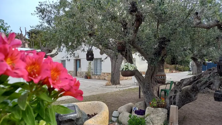 Atha Yoga — yoga-studio en Altafulla — 6