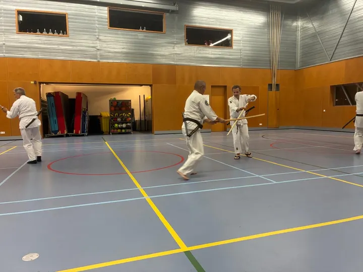 Dojo Haarlem — Vechtsport in Haarlem