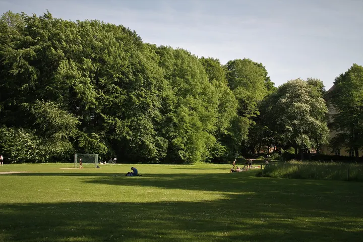 Outdoor Fitness Parcours — calisthenics-studio in Kiel — 4