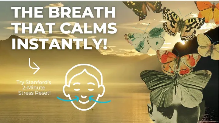 Burnout Help — Meditation in Prenzlauer Berg, Berlin