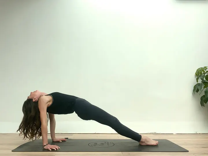 Pura Vida Formations — yoga-studio à 6e Arrondissement, Marseille — 2