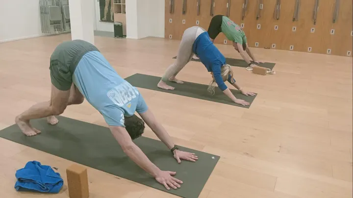 Iyengar Yoga Den Haag — Yoga in Haagse Hout, Den Haag