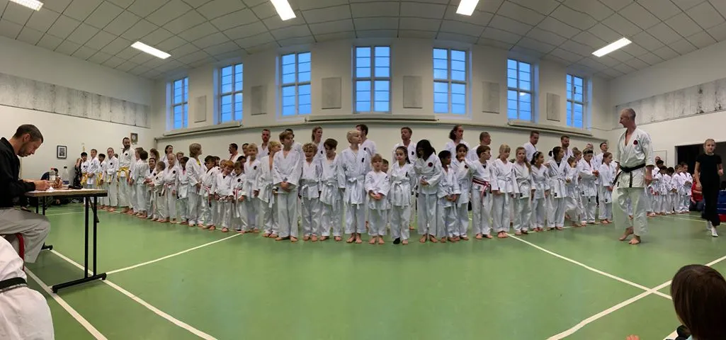 Hvidovre Karateskole - GojuRyu — kampsport-studio i Hvidovre, København — 3