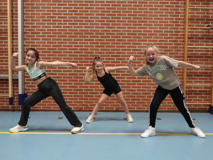 Dance Studio Juf — dans-studio in Losser — 5
