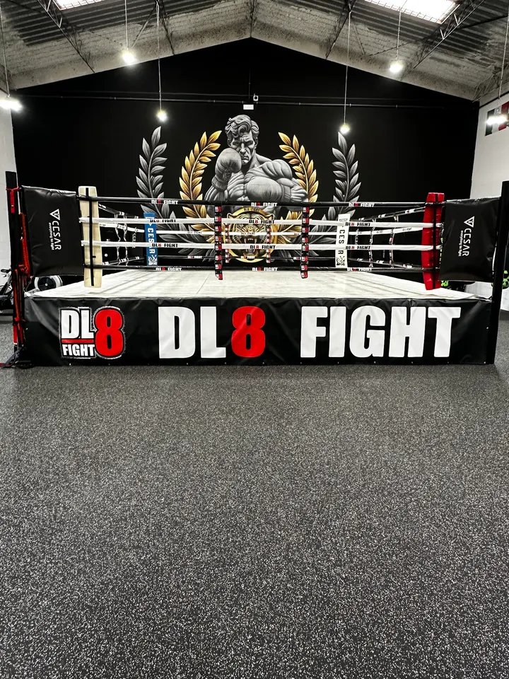 DL8FIGHT BOXING CLUB — artes marciales-studio en Palmete, Sevilla — 2