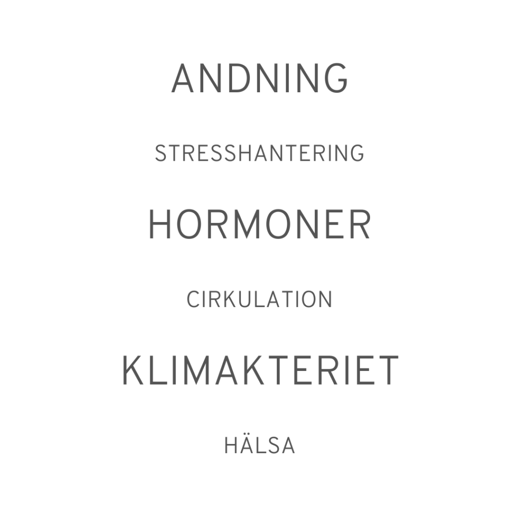 IRMA Friskvård — pt-studio-studio i Skellefteå — bild 6