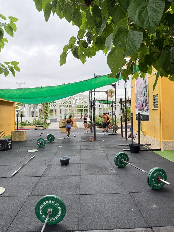 Gorilla Box — CrossFit en Castelló de la Plana
