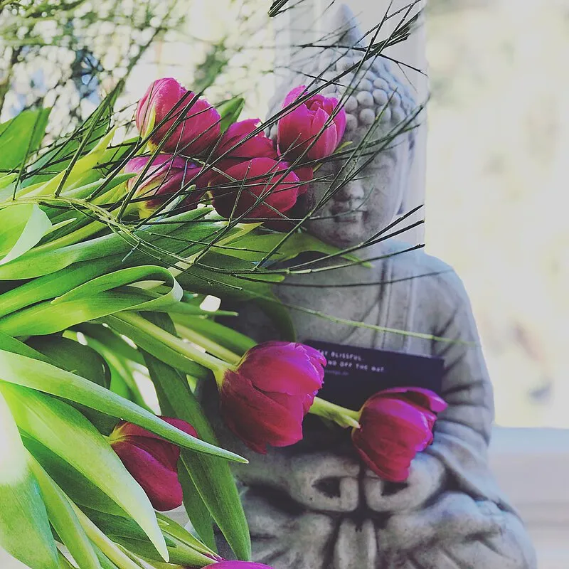 Suyoga — yoga-studio i Gernsbach — 5