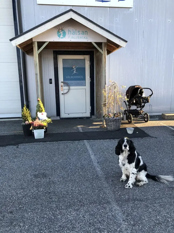 Hälsan i Fjällbacka AB — träningsstudio i Fjällbacka — 4