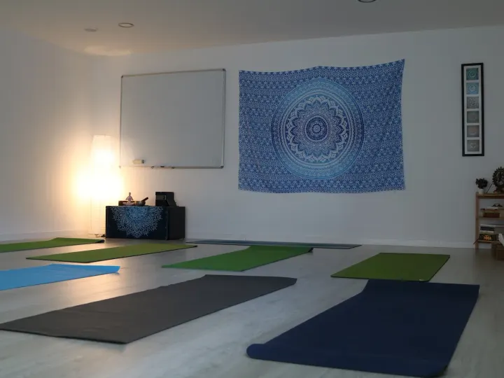 Casa do Yoga Braga — Yoga em Braga (São Vítor), Braga