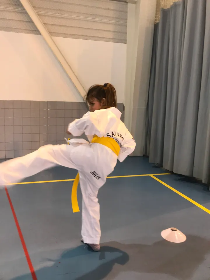 Taekwondo Claira — arts martiaux-studio à Claira — 4