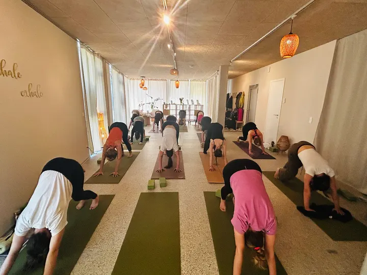 Yogalance Seebener Str. — yoga-studio in Giebichenstein, Halle (Saale) — 3