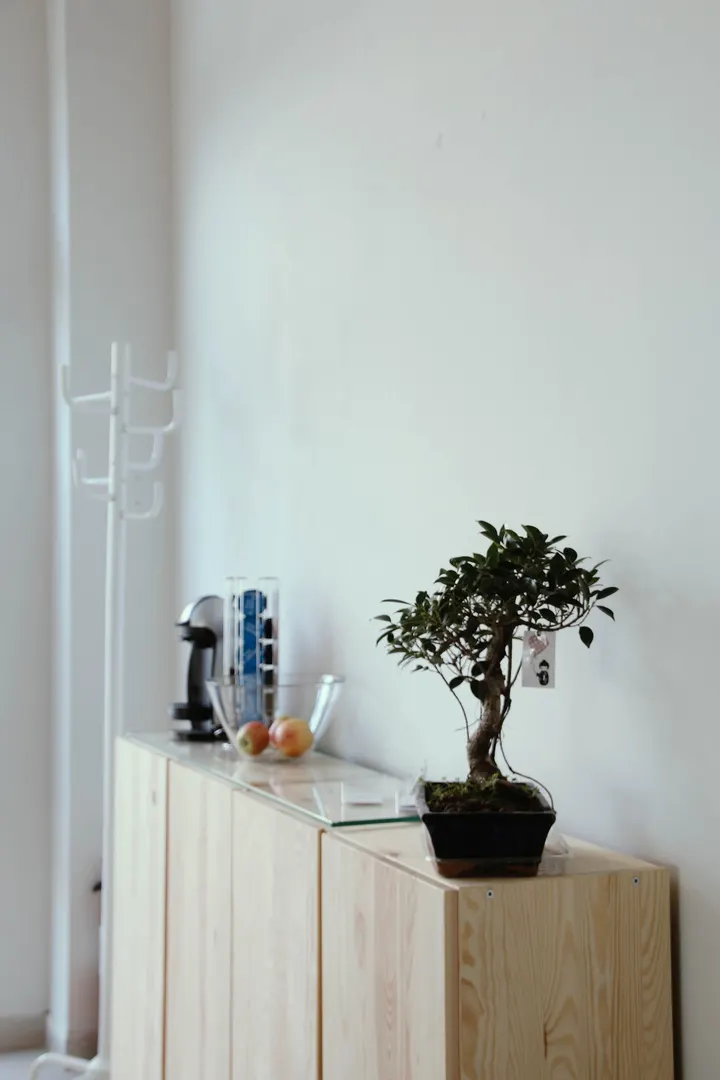 Físic S'escorxador — entrenamiento personal-studio en Bons Aires, Palma — 3