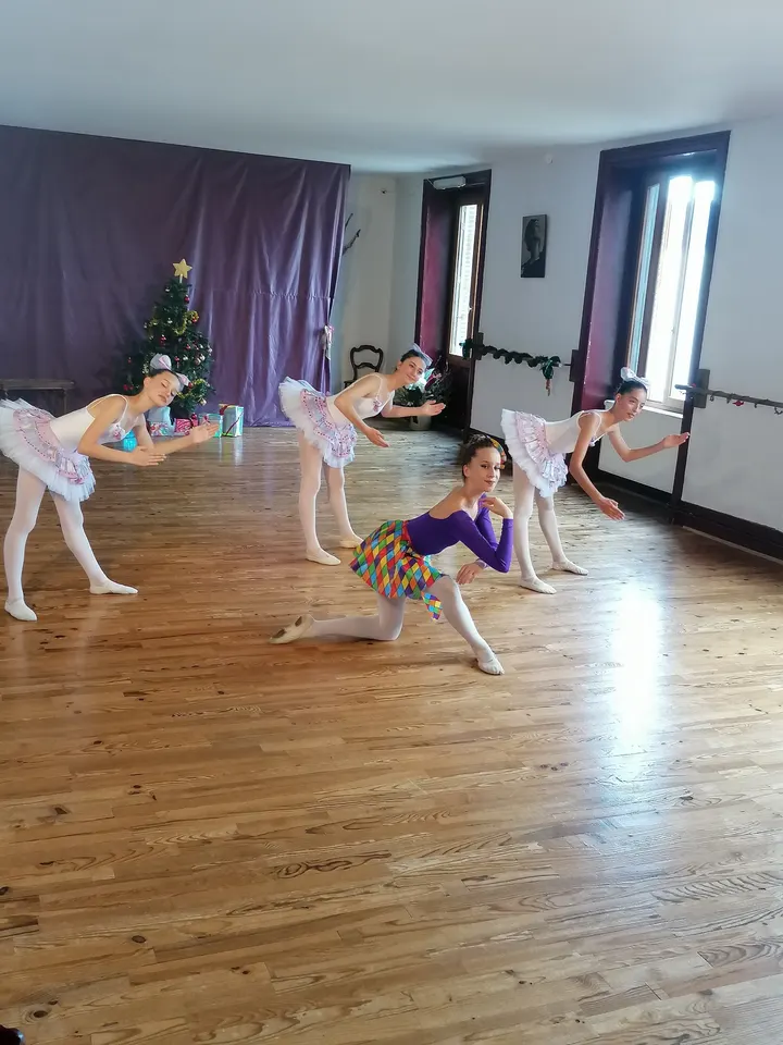 Ecole de danse classique Mireille Bony Legat — danse-studio à Plaisance, Saint-Chamond — 3