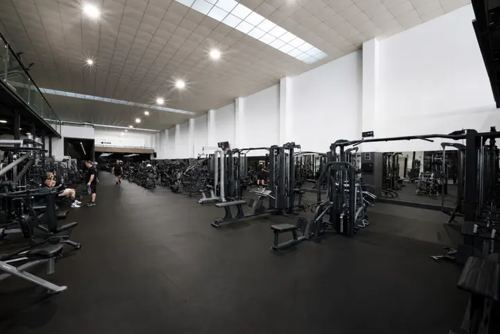 Focus Jiu-Jitsu Headquarters — jiu-jitsu brasileiro-studio em Porto — 3