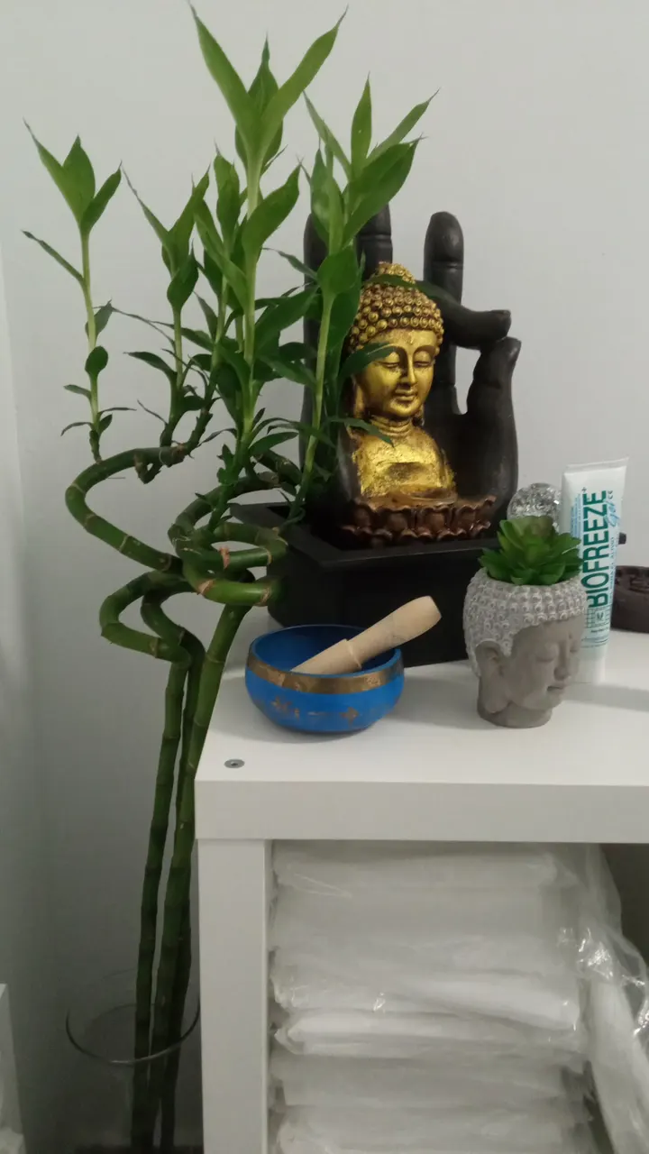 Nazconaturaltherapies — wellness-studio en Zona Rambla, Santa Cruz de Tenerife — 2