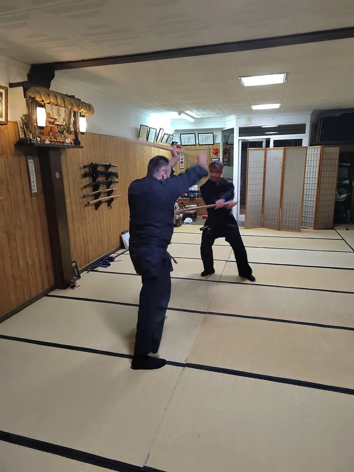 Bujinkan Girona Dojo — artes marciales-studio en Montilivi, Girona — 2