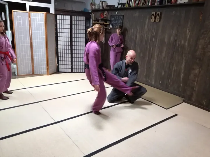 Bujinkan Girona Dojo — artes marciales-studio en Montilivi, Girona — 3