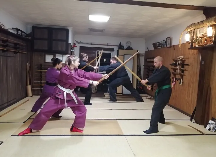 Bujinkan Girona Dojo — Artes marciales en Montilivi, Girona