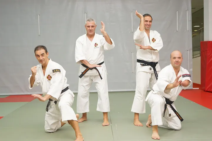 SHORINJI KEMPO DONOSTIA — artes marciales-studio en Amaraberri, San Sebastián — 2