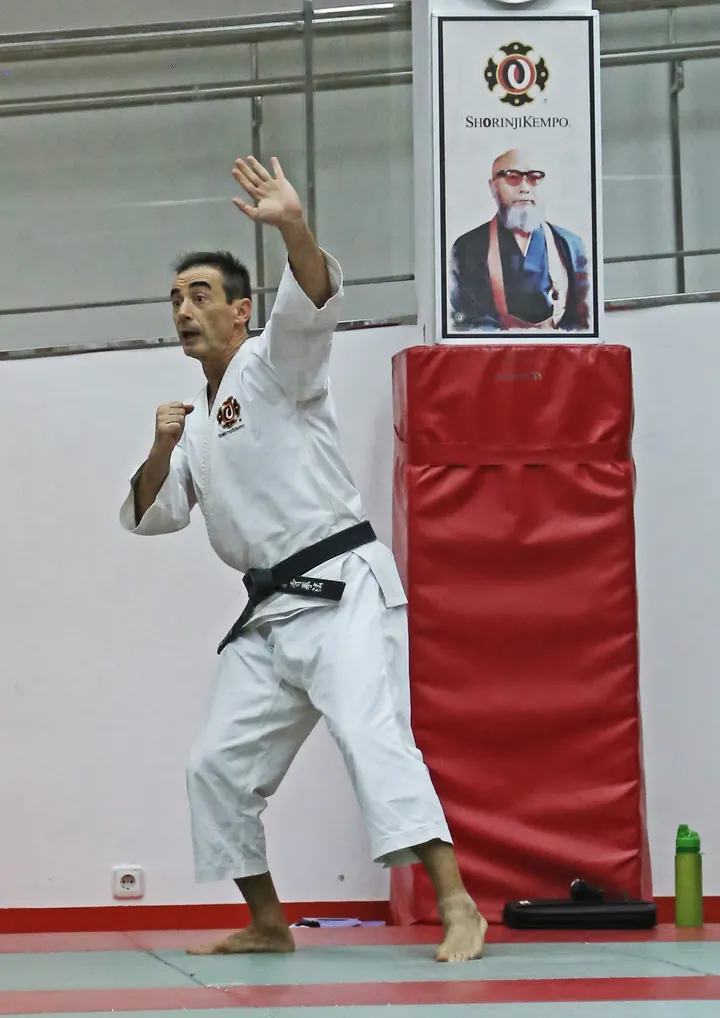 SHORINJI KEMPO DONOSTIA — artes marciales-studio en Amaraberri, San Sebastián — 3