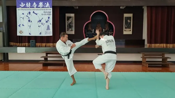 SHORINJI KEMPO DONOSTIA — artes marciales-studio en San Sebastián — 5