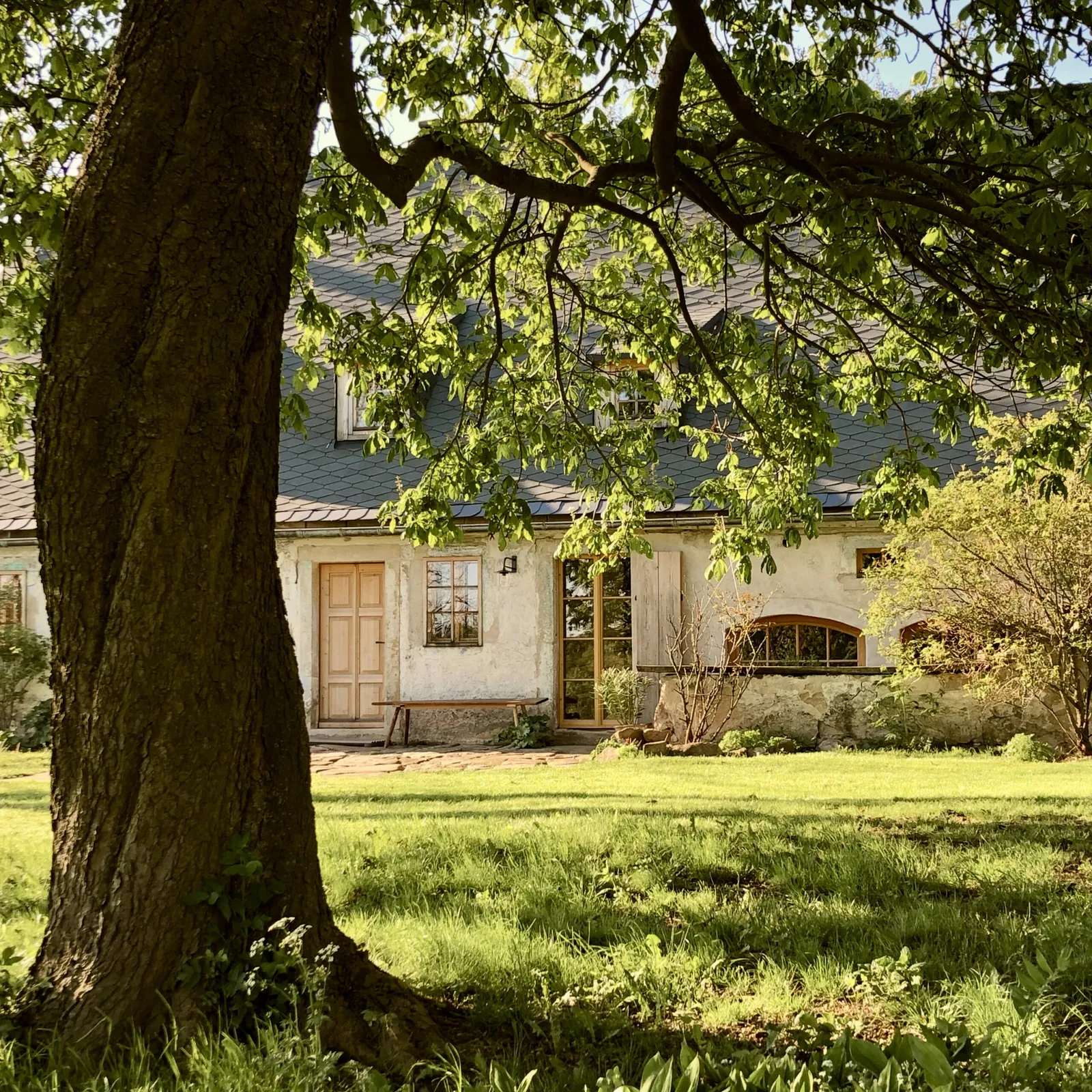 Yogaschule 101 — yoga-studio in Pieschen-Nord/Trachenberge, Dresden — 2
