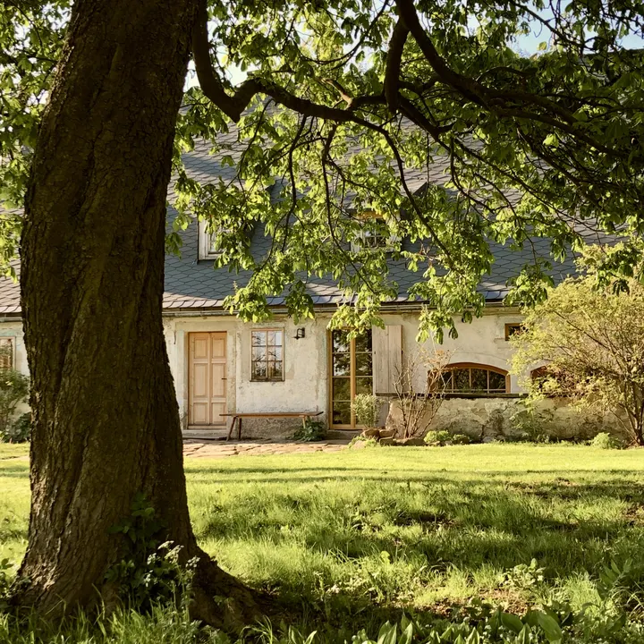 Yogaschule 101 — yoga-studio in Pieschen-Nord/Trachenberge, Dresden — 2