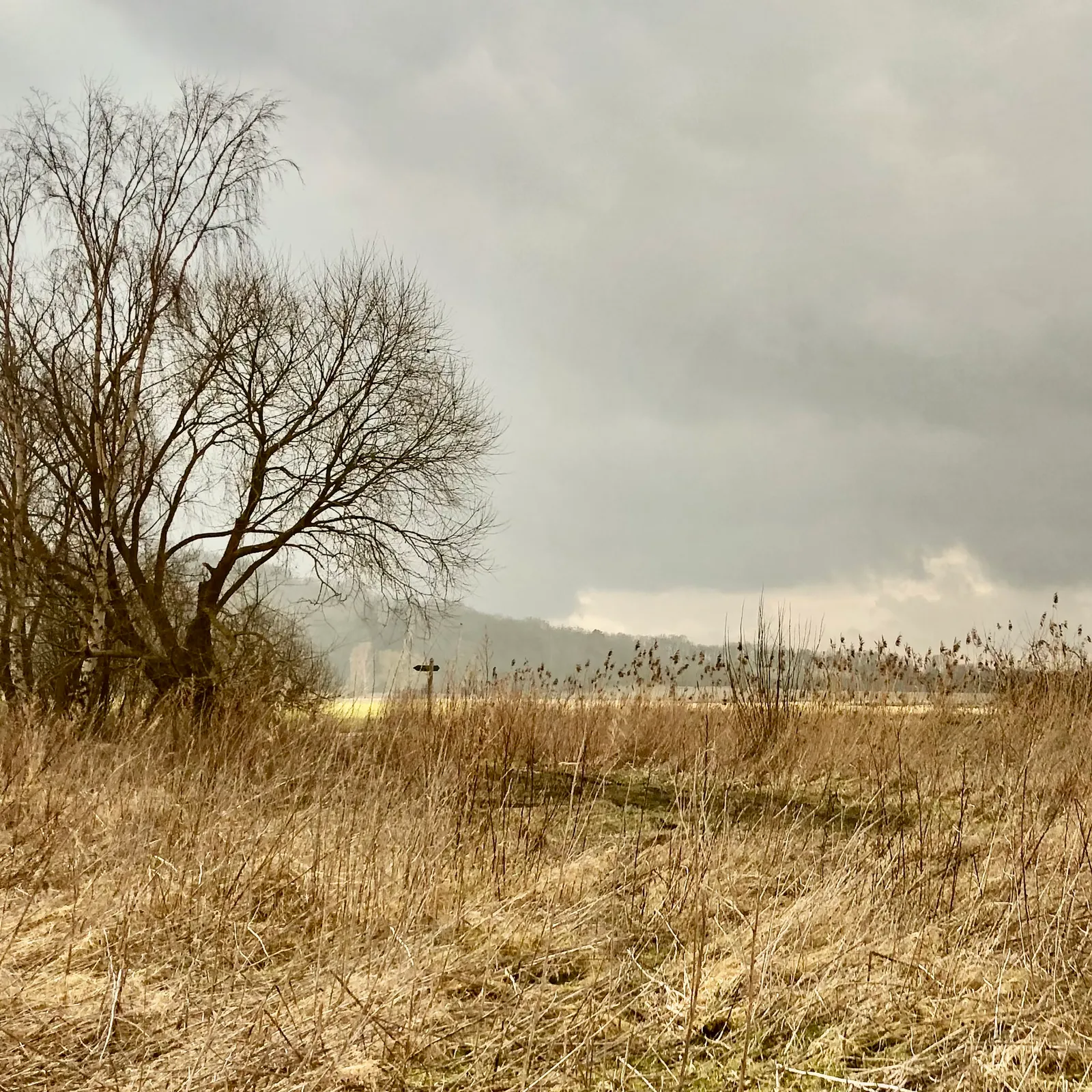 Yogaschule 101 — yoga-studio in Dresden — 4