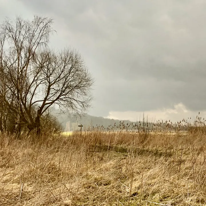 Yogaschule 101 — yoga-studio in Dresden — 4