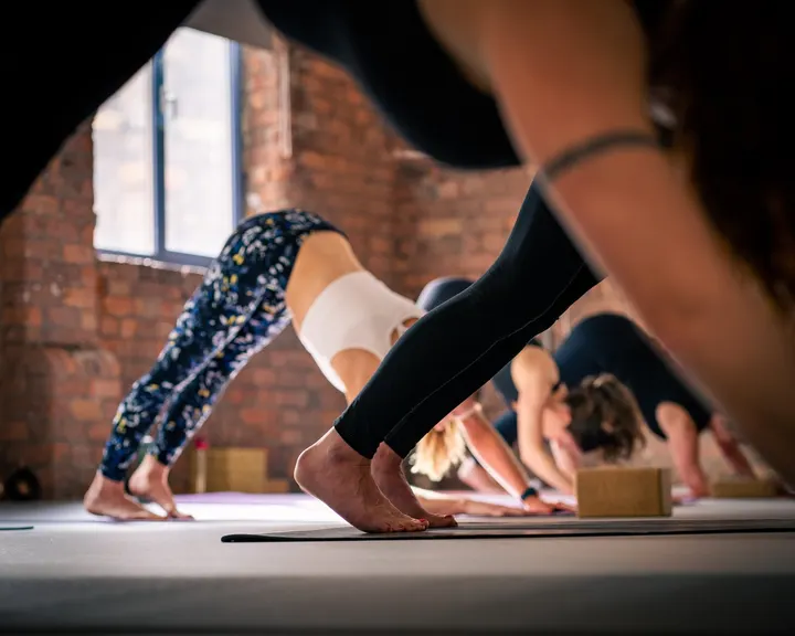 Yogacita — yoga-studio in Liverpool — 4