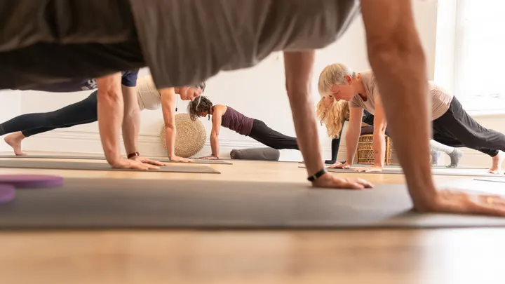 Wildyogis East Dean and Friston village — yoga-studio in Eastbourne — 4