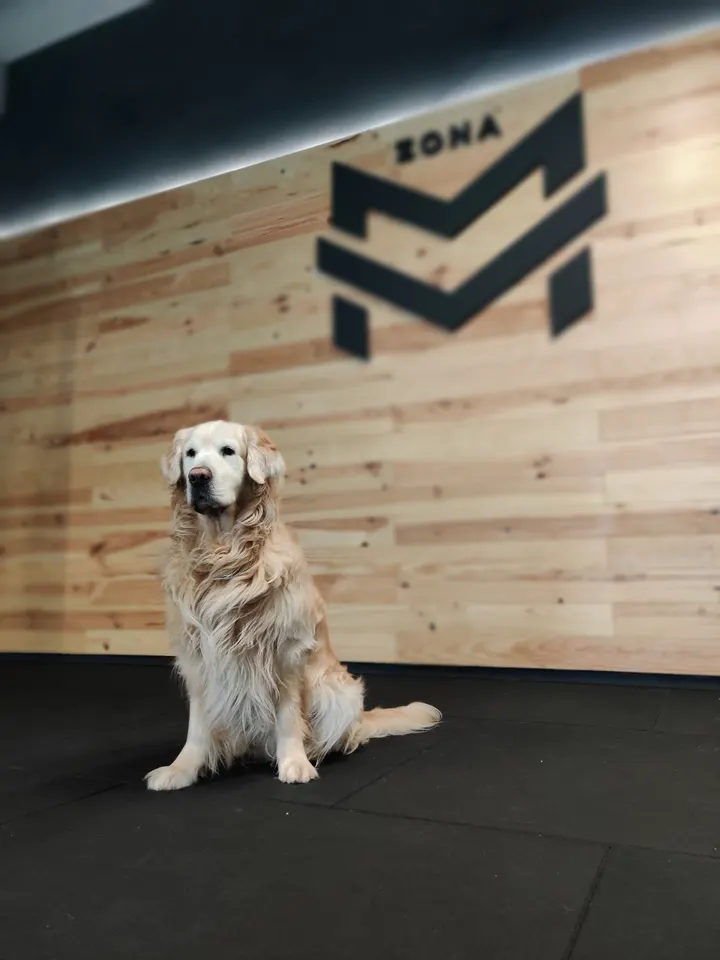 ZonaMV — entrenamiento personal-studio en A Coruña — 4