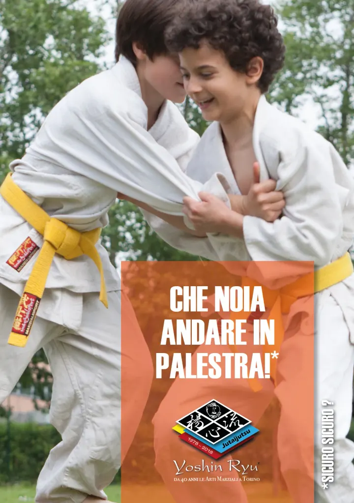 Yoshin Ryu - Sede NI — arti marziali-studio a Madonna di Campagna, Torino — 3