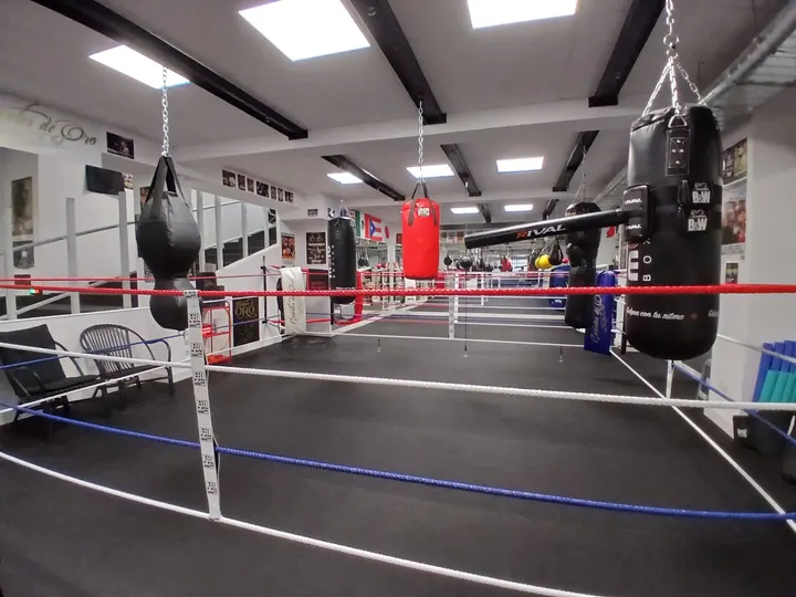 Guantes de Oro Boxing Club — artes marciales-studio en Agra do Orzán, A Coruña — 2