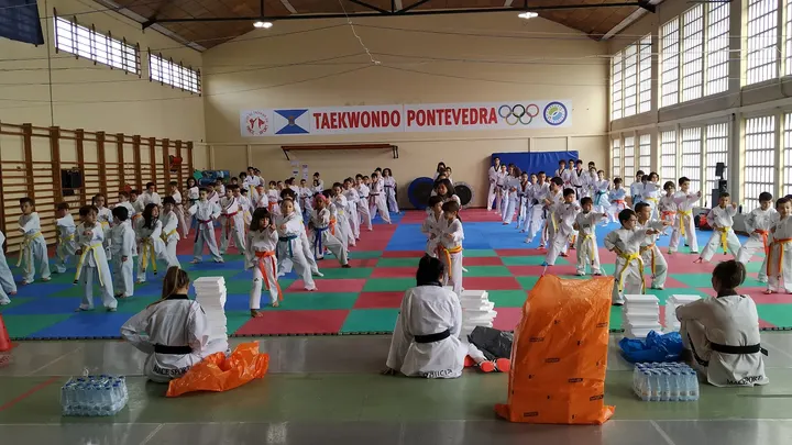 CLUB DE TAEKWON-DO MACE-SPORT — artes marciales-studio en A Moureira, Pontevedra — 3