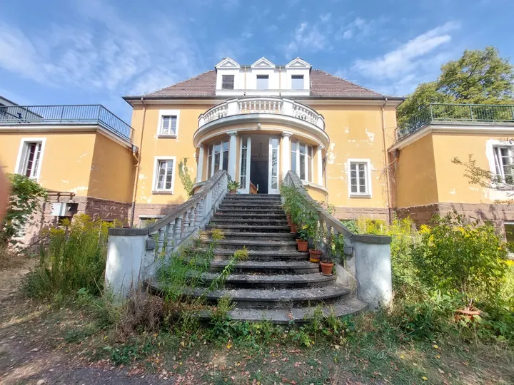 Heilraum Kassel, Susanne Saradevi Heyer — Yoga in Vorderer Westen, Kassel
