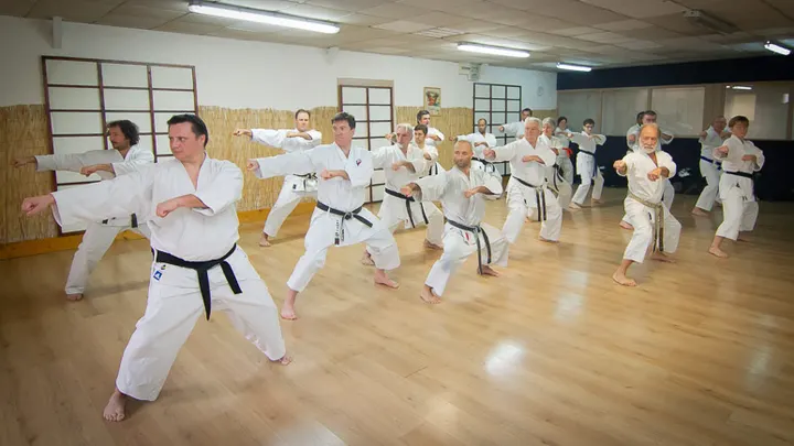 SOCHIN DOJO — arts martiaux-studio à Chartrons - Grand Parc - Jardin Public, Bordeaux — 2