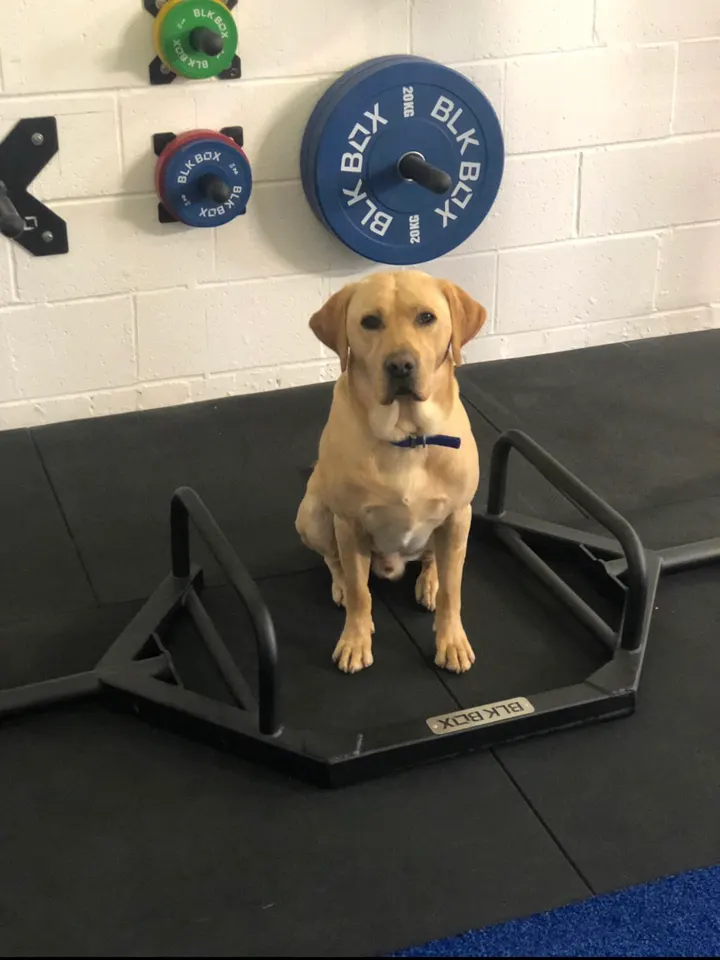 allFIT — fitness studio in Lisburn — 2