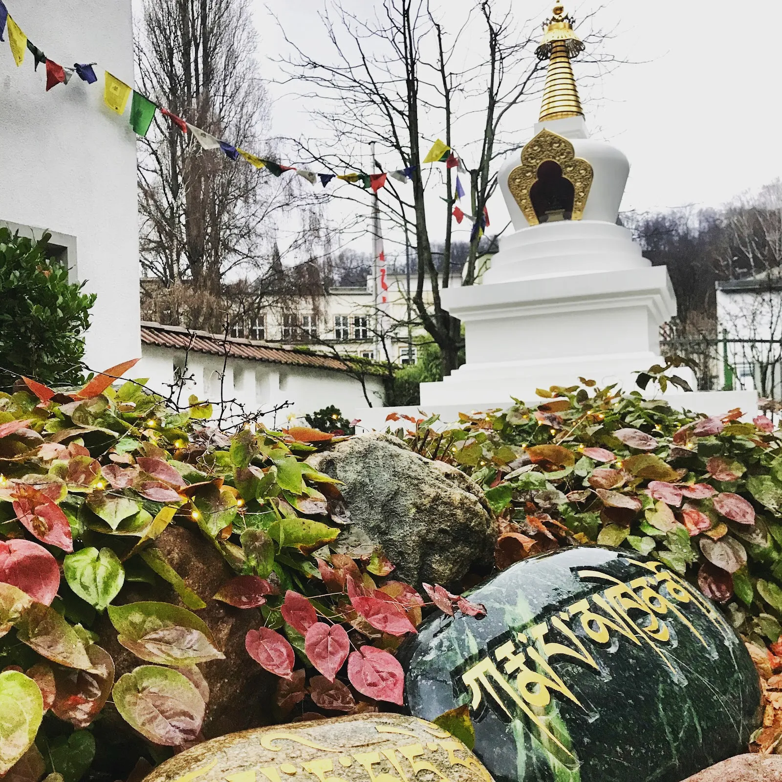 Das Buddhistische Zentrum Wuppertal — meditation-studio in Wuppertal — 5
