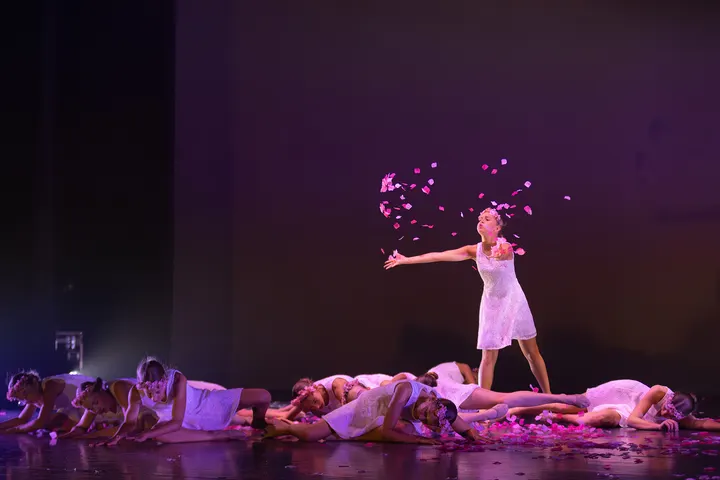 Dance Academy Woerden — Dans in Snel en Polanen, Woerden