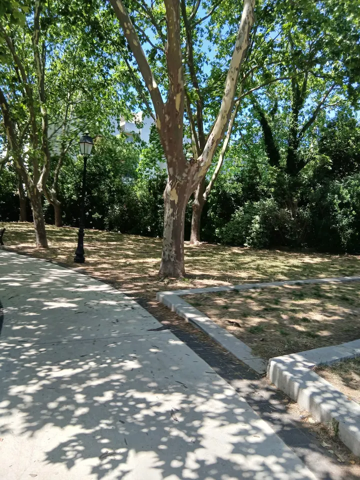Parc Street Workout Parc Dioscoride — callisthénie-studio à Montpellier — 3