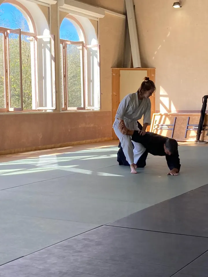 Cercle d'Aïkido Montpellierain — arts martiaux-studio à Montpellier — 3