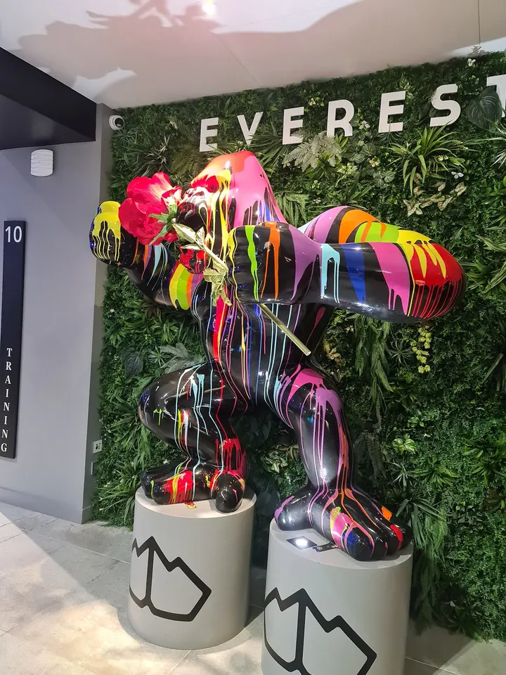 Everest Sport Club — salle de fitness-studio à Rue de Vesoul, Besançon — 2