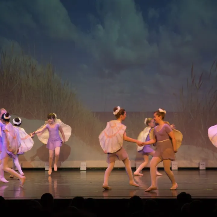 Ballettschule Petra Finger — tanz-studio in Hamm — 3
